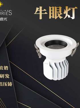 尚品德光LED深嵌式防眩牛眼灯成品可调光无主灯照明牛眼灯成品9W1