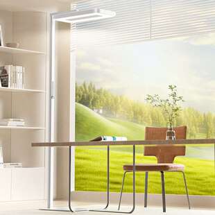 孩视宝落地护眼灯儿童学习专用阅读全光谱台灯大路灯E5-125W-R