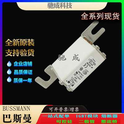 巴斯曼170M1313 170M1314 170M1315 原装进口 价优 快速保险丝