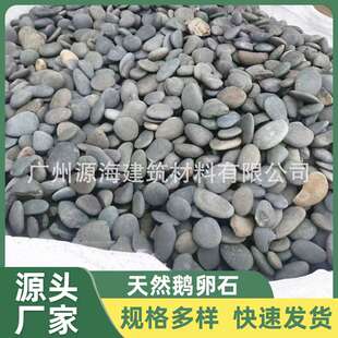 河滩卵石天然鹅卵石铺底原石石子石头鹅软五彩石彩色河卵石海南
