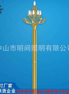 直销中式创意户外景观玉兰灯 市政工程建设道路8米15米led中华灯