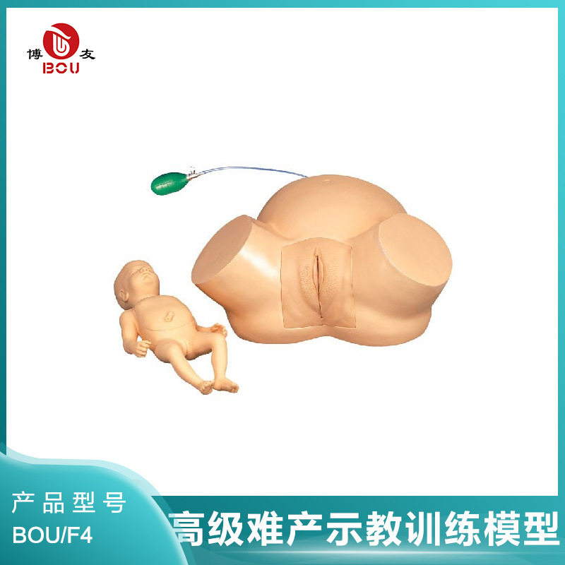 博友BOU 难产示教训练模型演示异常分娩骨性盆腔狭窄难产过程