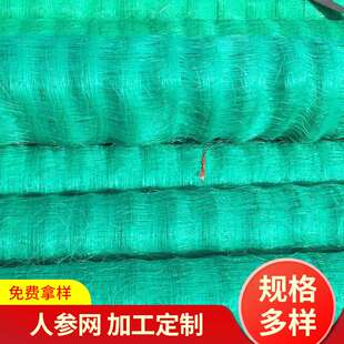 植物人参养殖网 塑料植物爬藤防倒伏网 绿色聚乙烯防护网定 制