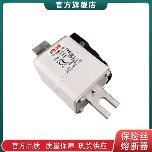 170M5237 5257 5280 5281 5282 5283 5284 5289 巴斯曼快速熔断器