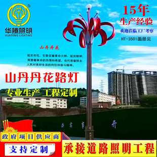 城市道路亮化组合灯玉兰灯中华灯LED路灯山丹丹花灯街道市政工程