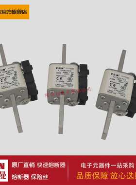 熔断器170M3765 170M3766 170M3767 170M3768 170M3769 170M3770