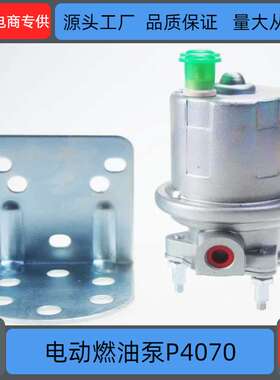 通用型电动燃油泵12V  P4070 4020102 SP1130 FE0539
