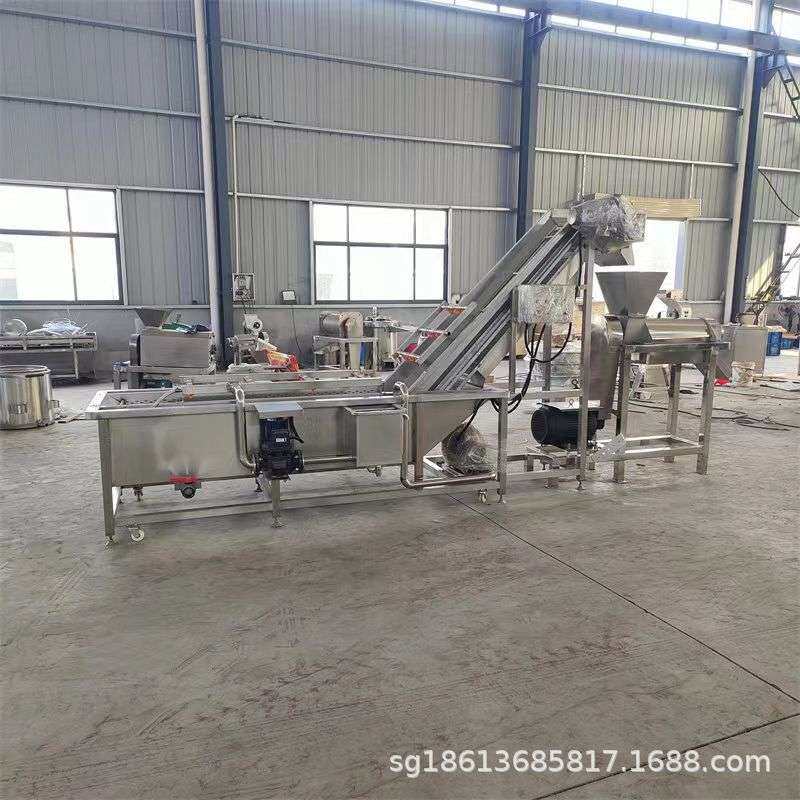 商用枇杷榨汁机 大型油柑樱桃刺梨破碎挤汁机 工业去皮去核榨汁机