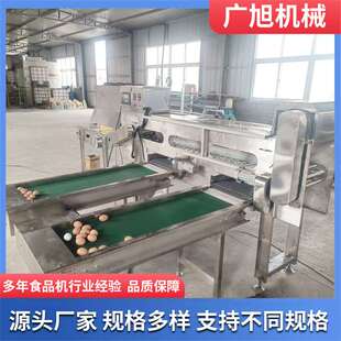 鸡蛋分级机 全自动蛋品重量分选机 不锈钢三排光检鸡蛋分拣机