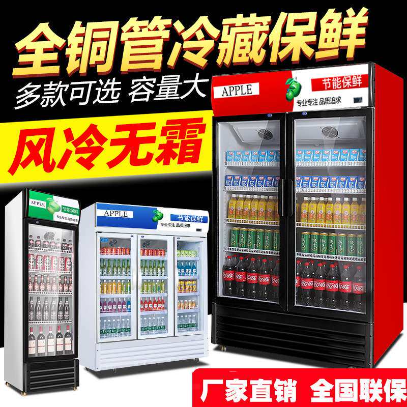 保鲜柜冰柜商用啤酒柜商店饮料家用小型立式超市冷藏柜柜展示柜