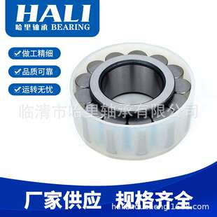 CPM2843减速机轴承无外圈满装圆柱滚子轴承现货 高承载轴承