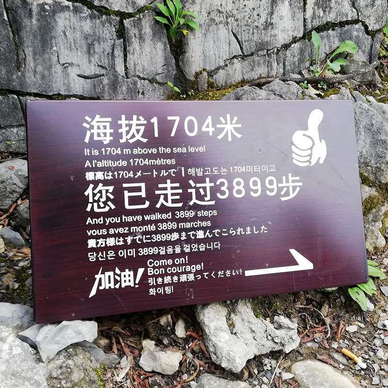 创意园实木指示牌景区标识标牌索引导向牌防腐木实木雕刻填漆