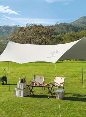 大迈星际飞越蝶形天幕 豆蔻年华DM-1019