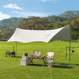 大迈星际飞越蝶形天幕 豆蔻年华DM-1019