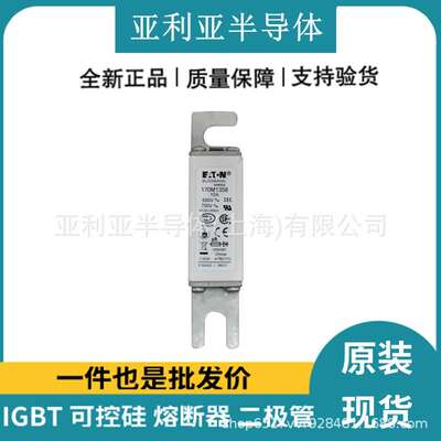 170M1358 170M1359 低压熔芯 快速保险丝 半导体电子元器件 现货