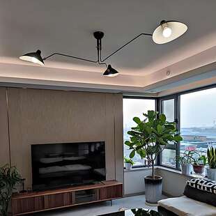 北欧设计师工作室鸭嘴创意个性张牙舞爪灯客厅餐厅吊灯氛围吸顶灯