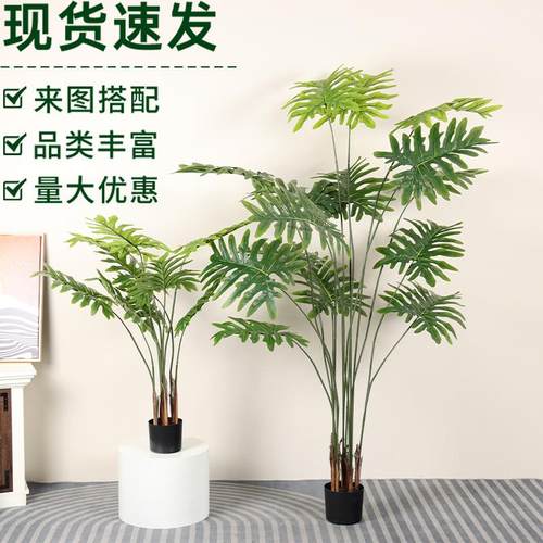 高端仿真绿植喜林芋春芋假盆栽大型室内外仿真植物造景组合装饰