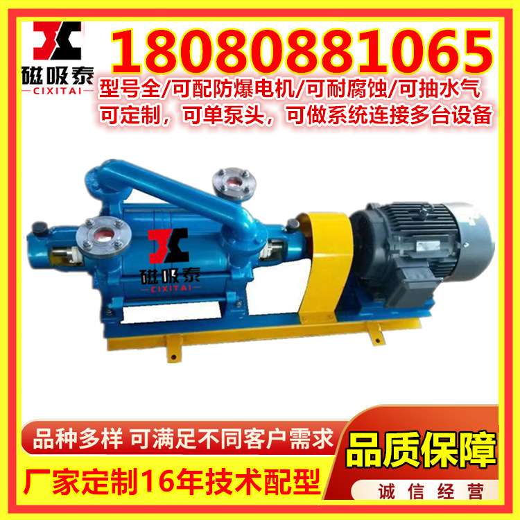 2SK20水环式真空泵45KW水环泵无油单泵头真空机组ZJP罗茨泵