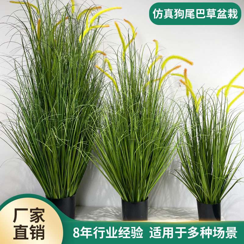 仿真狗尾巴草仿植绿植盆栽 酒店造景仿真绿植办公室装饰摆件
