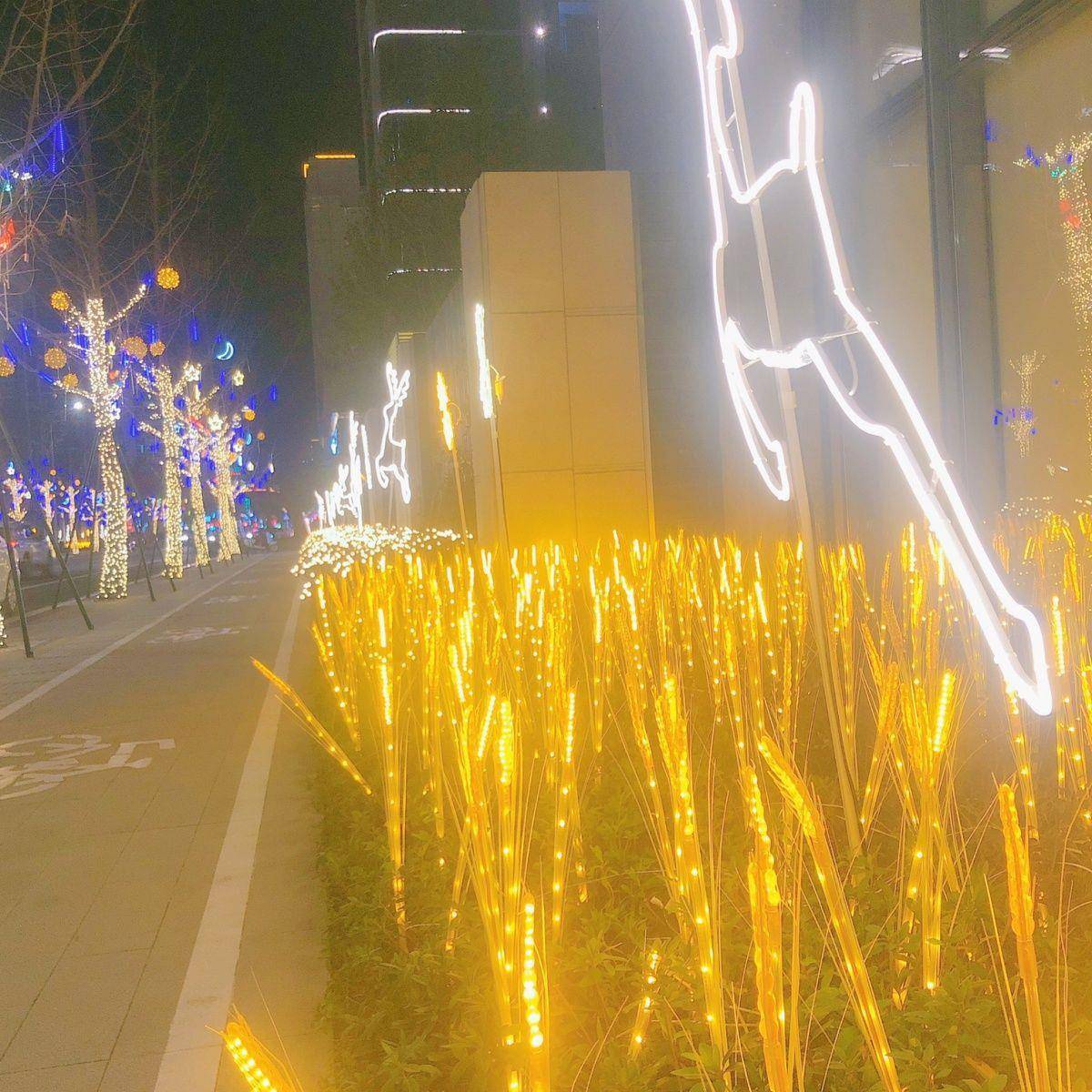 网红麦穗灯 led景观户外防水仿真广场造型装饰发光插地灯现货直供