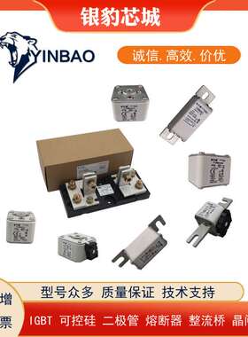 10NHG000B-690 16NHG000B-690 20NHG000B-690巴斯曼熔断器现货