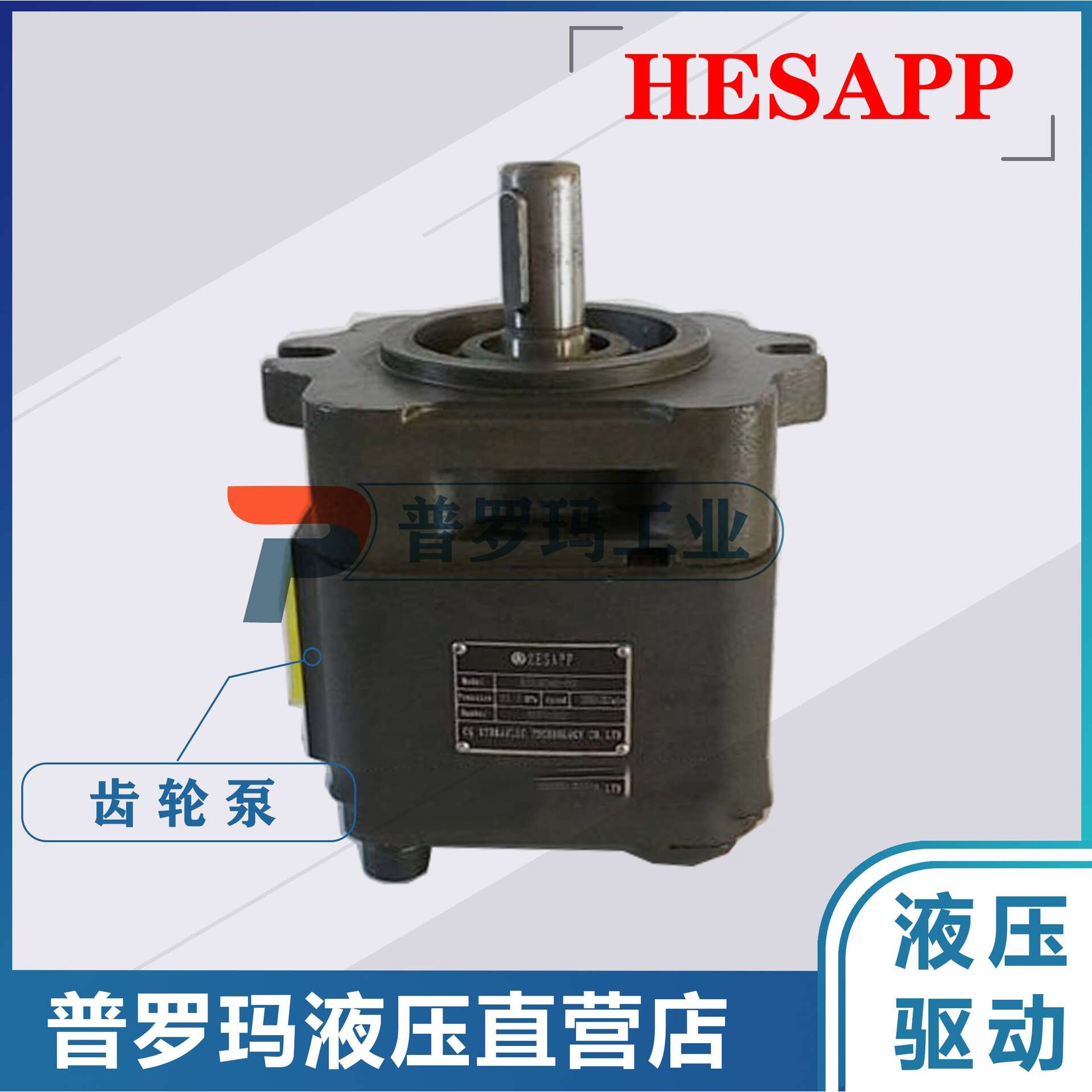 HESAPP高压齿轮泵内啮合齿轮泵BIG4040H-A01FR-1/4025/4032/4050