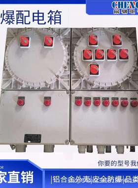 防爆配电箱 防爆照明动力配电箱防爆控制电箱铝合金IIC级配电箱