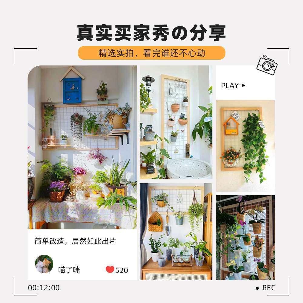新品阳台墙面花架网格壁挂式绿植架实木悬挂置物架铁艺室内花架子