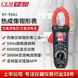 9581高精度电流表真有效值 华盛昌CEM数字钳形表热像仪二合一DT