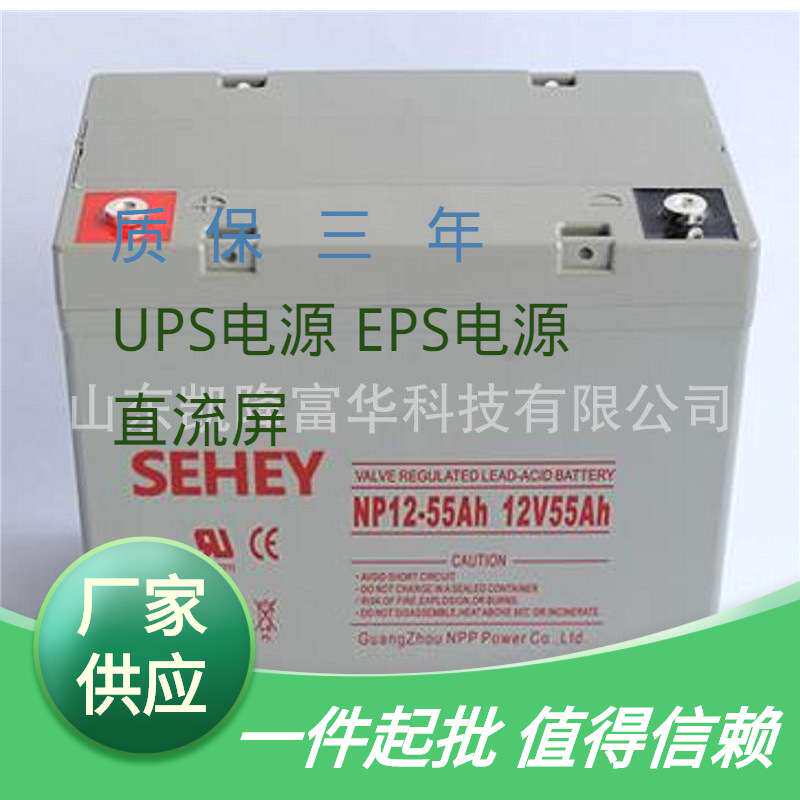 NP12-55铅酸免维护密封电池12V55ah直流屏EPS储能SEHEY西力蓄电池