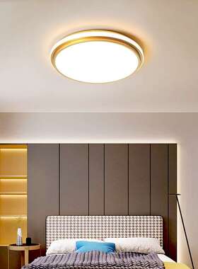 led高亮360度跨境客厅灯现代简约卧室餐厅灯北欧大气极简网红灯具