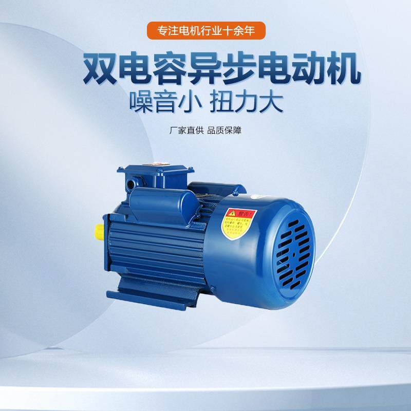 单相双值电容异步电动机厂家单相YL100-3W--2大马力电机