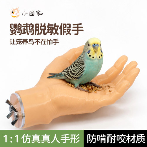 鹦鹉脱敏假手站杆鸟笼仿真手