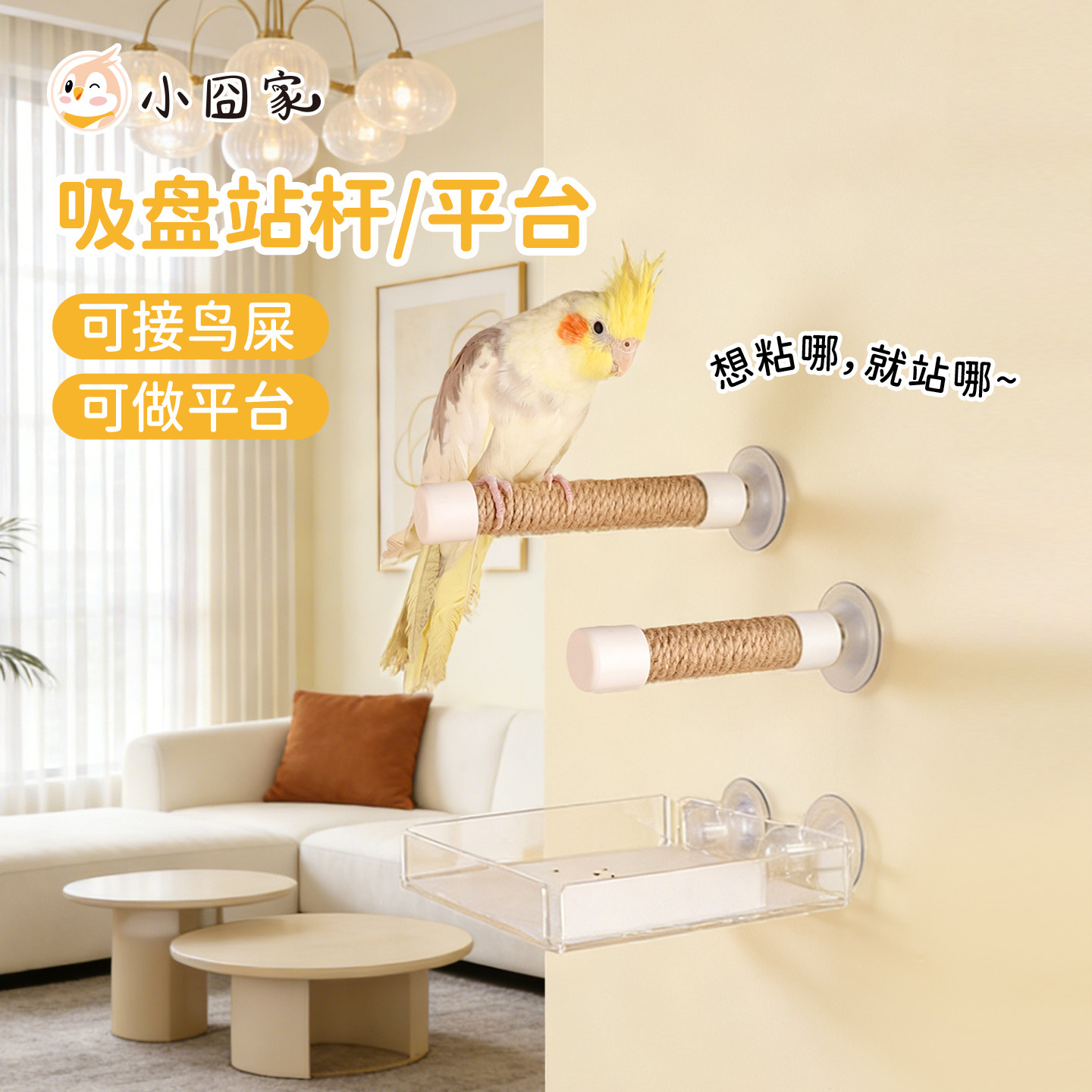 鹦鹉麻绳站杆吸盘站架空中站棍磨爪玄凤虎皮专用鸟用墙面玻璃站台图片