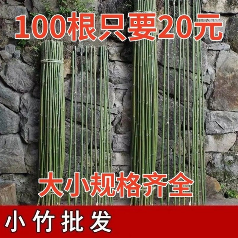 竹竿棍菜园爬藤架防腐粗细彩旗竹子杆蔬菜架架黄瓜豆角瘦竹竿庭院