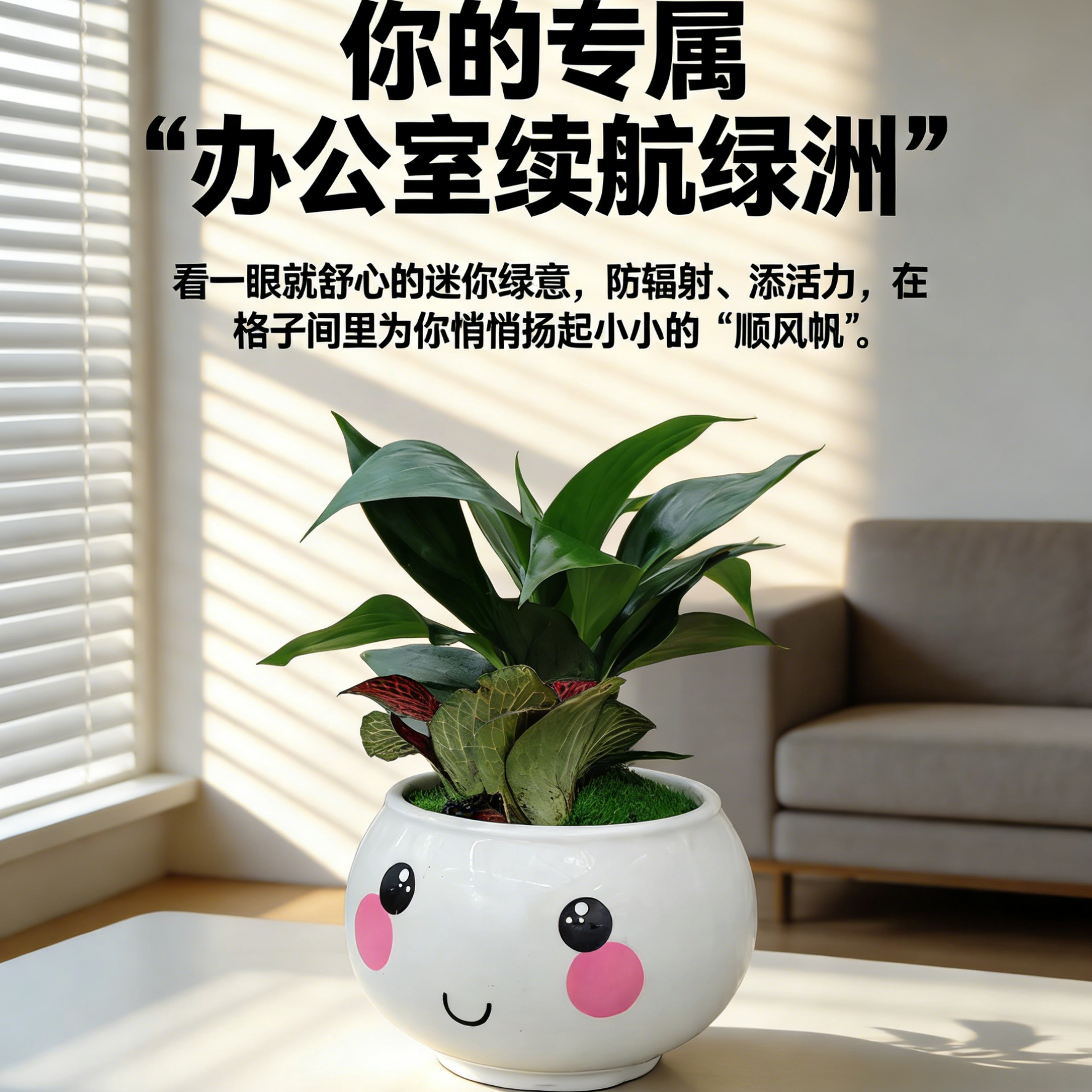 小孩观察陪伴成长组合植物书桌茶桌迷你观叶盆栽室内净化空气,鲜花速递/花卉仿真/绿植园艺,红掌/凤梨/温室花卉,淘宝优惠券,粉丝福利购,淘宝优惠卷