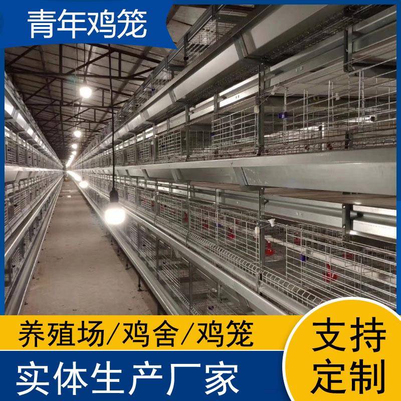 自动化层叠青年鸡鸡笼立式养殖设备养殖场用鸽子笼鹌鹑笼厂家