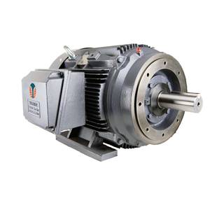 特波三相铸铁标准异步电机IECNEMA标准UL CSA