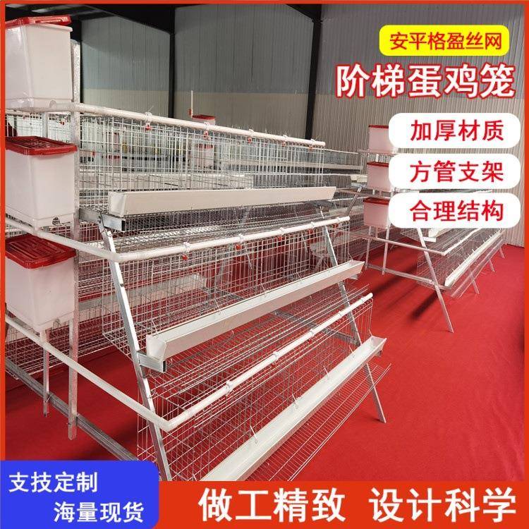 三层五门蛋鸡笼源头生产厂家多层立体可出口鸡笼