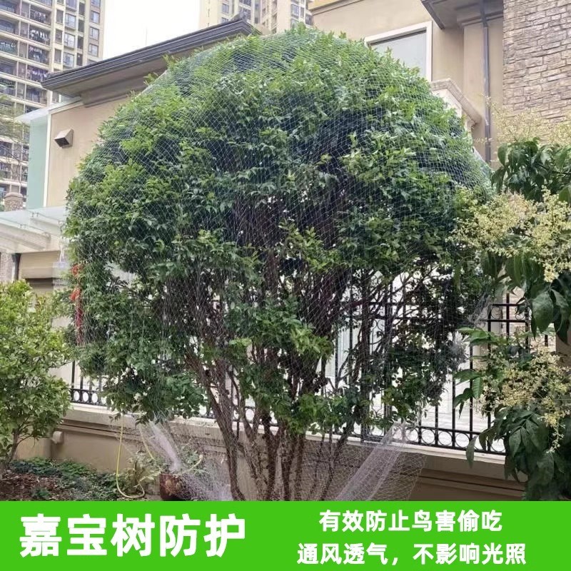 果树防鸟网果园植物防鸟罩遮果树网蓝莓樱桃树防鸟神器拦鸟网加密