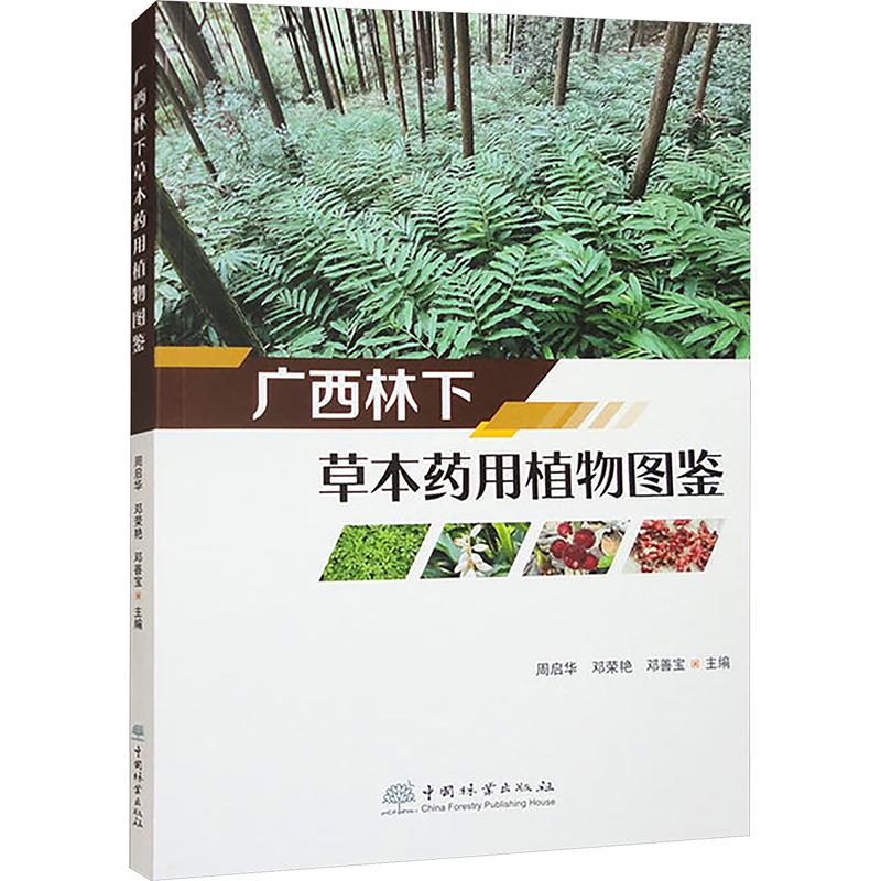 【新华正版】 广西林下草本药用植物图鉴 周启华邓荣艳邓善宝 主编 编 中国林业出版社