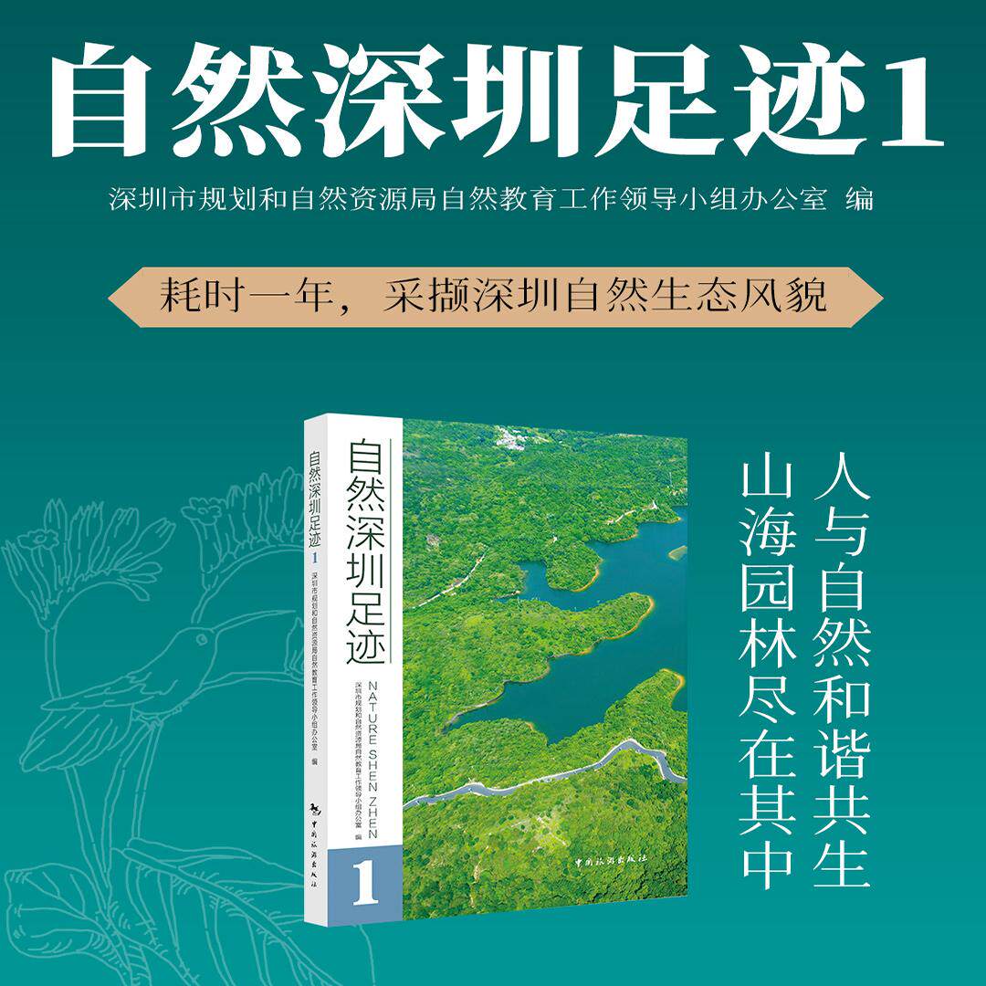 【新华正版】 自然深圳足迹1    深圳市规划和自然资源局自然教育工作领导小组办公室 编   耗时一年采撷深圳丰富的自然生态风貌