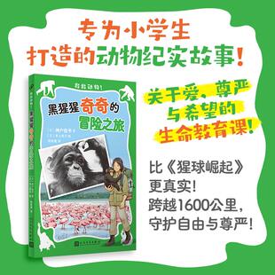 绘 社 冒险之旅 姚奕崴 译 著 黑猩猩奇奇 日神户俊平 人民文学出版 日井上贵子 新华正版