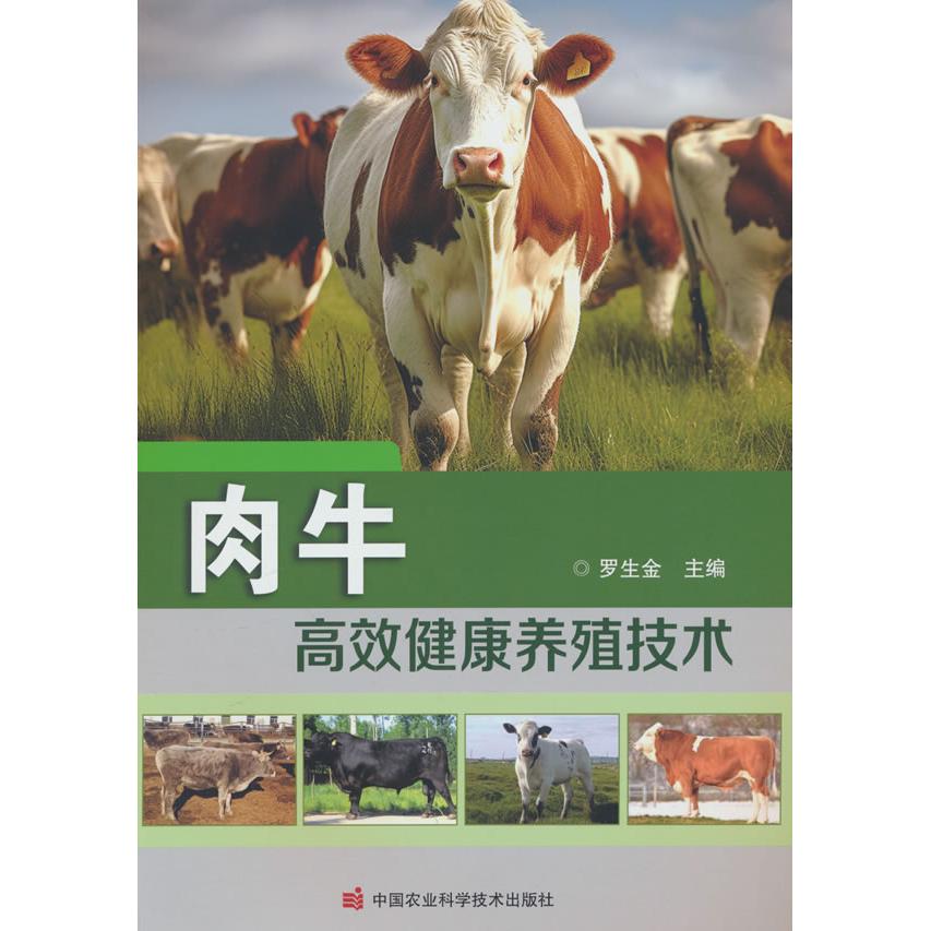 【新华正版】 肉牛高效健康养殖技术 罗生金 编 中国农业科学技术出版社有限公司