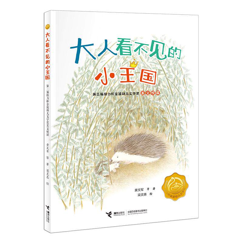 【新华正版】 大人看不见的小王国第三届接力杯金波幼儿文学奖美文悦读 接力出版社 黄文军 等 著 梁灵惠 绘