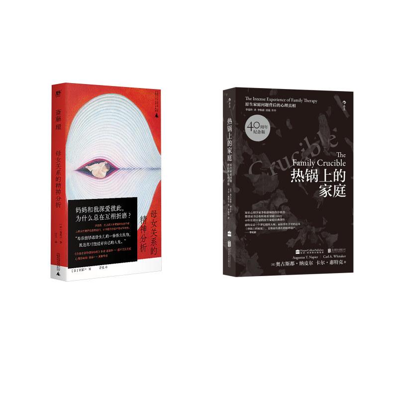 【新华正版】 母女关系的精神分析+热锅上的家庭 日斋藤环 著 著 蕾克 译 译等 广西师范大学出版社等