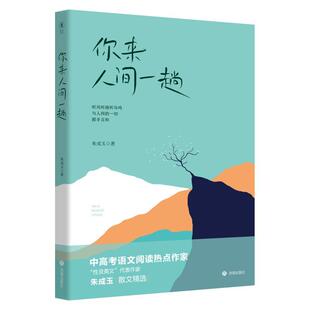 新华正版 济南出版 你来人间一趟 著 社 朱成玉