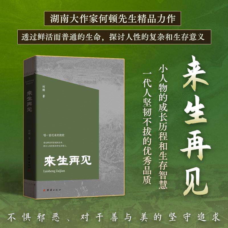 【新华正版】 来生再见（唱一首迟来的挽歌透过鲜活而普通的生命探讨人性的复杂和生存意义） 团结出版社 何顿  著