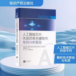 【新华正版】 人工智能芯片先进封装关键技术专利分析报告 国家知识产权局专利局专利审查协作河南中心 组织编写朱振宇 主编张谦孙