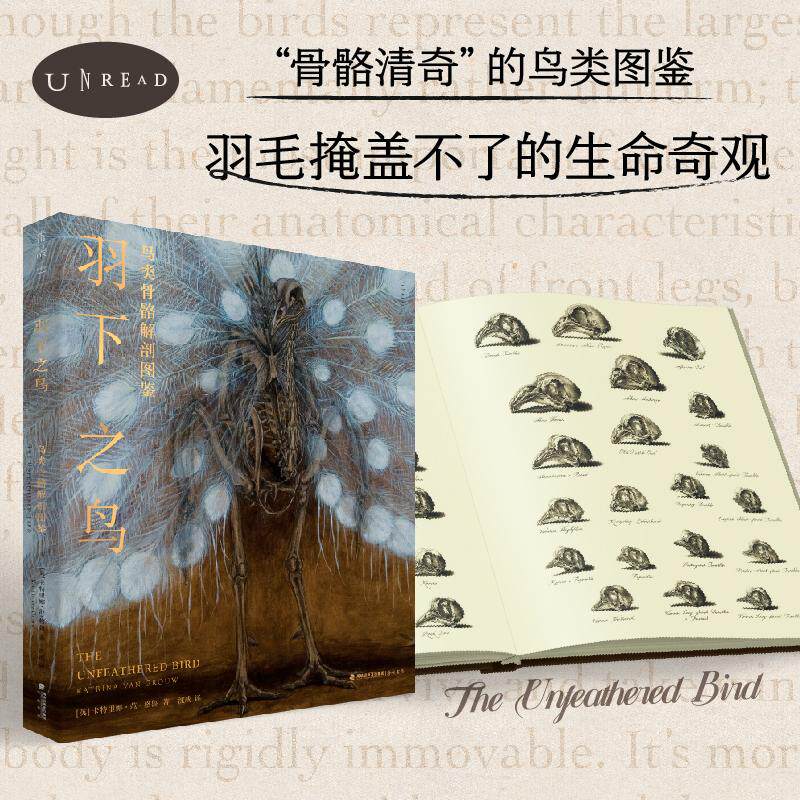 【新华正版】 羽下之鸟鸟类骨骼解剖图鉴 海峡书局出版社 英卡特里娜范格鲁 著沈成 译未读 出品
